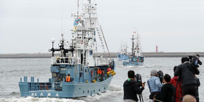 Una baleniera salpa dal porto di Kushiro (Kyodo via AP Images)