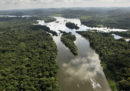 La Norvegia e la Germania hanno interrotto i finanziamenti al fondo governativo brasiliano che si occupa della conservazione dell’Amazzonia
