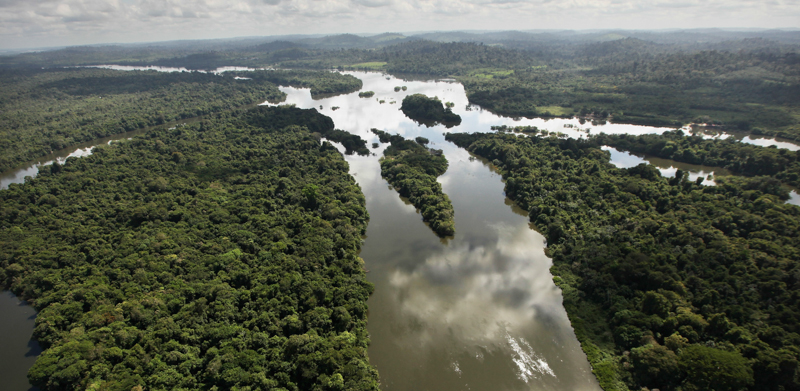 Una porzione della Foresta amazzonica in Brasile (Mario Tama/Getty Images)