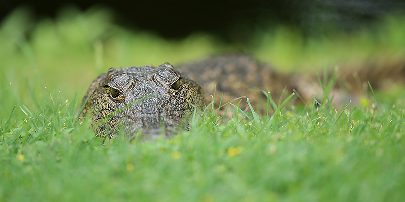 (Jan Kruger/Getty Images)