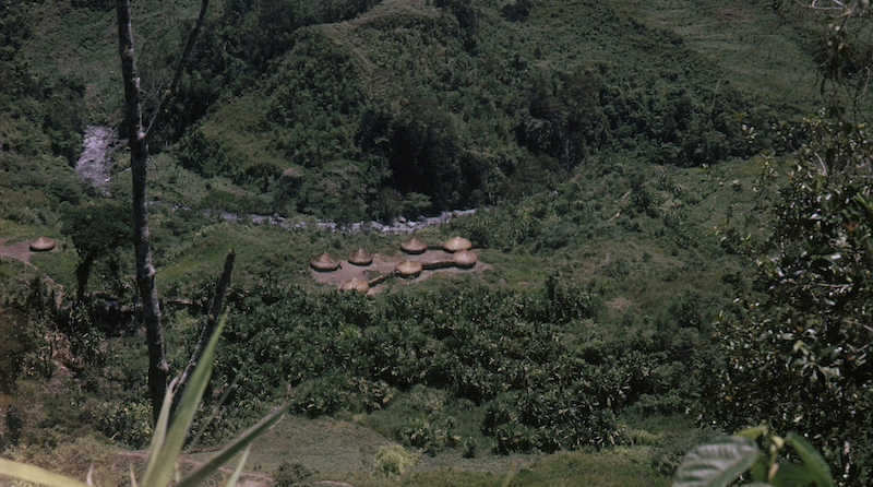Un villaggio tribale in Papua Nuova Guinea (AP Photo)
