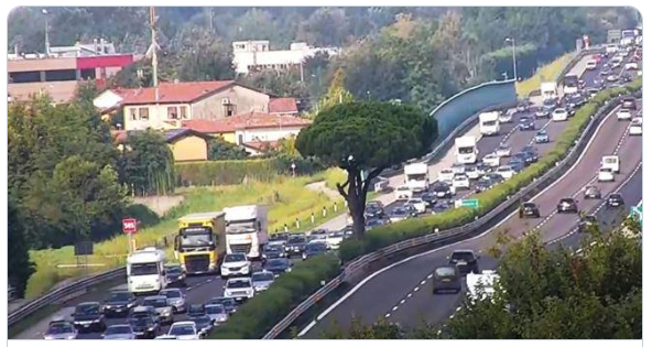 Sono stati abbattuti i famosi pini al centro dell’autostrada A4 tra Padova e Vicenza