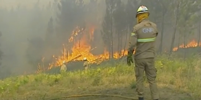 Fermo-immagine di un video della tv portoghese TVI che mostra alcuni vigili del fuoco impegnati a spegnere un incendio a Vila de Rei, in Portogallo, il 20 luglio 2019 (TVI via AP)