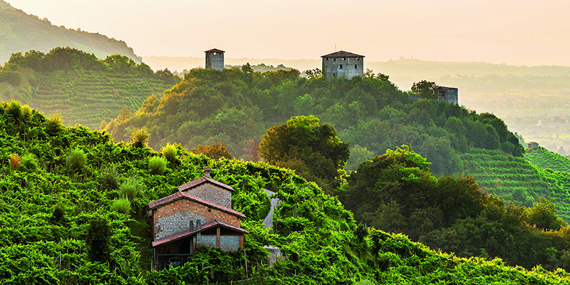 Colline del Prosecco (© Consorzio Tutela del Vino Conegliano Valdobbiadene Prosecco Superiore Docg - UNESCO)