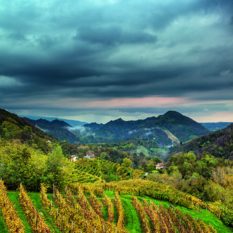 Le Colline Del Prosecco Di Conegliano E Valdobbiadene Sono State 