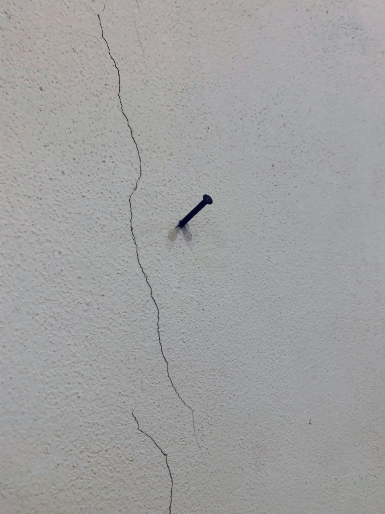 Bagnacavallo 10.07.2019