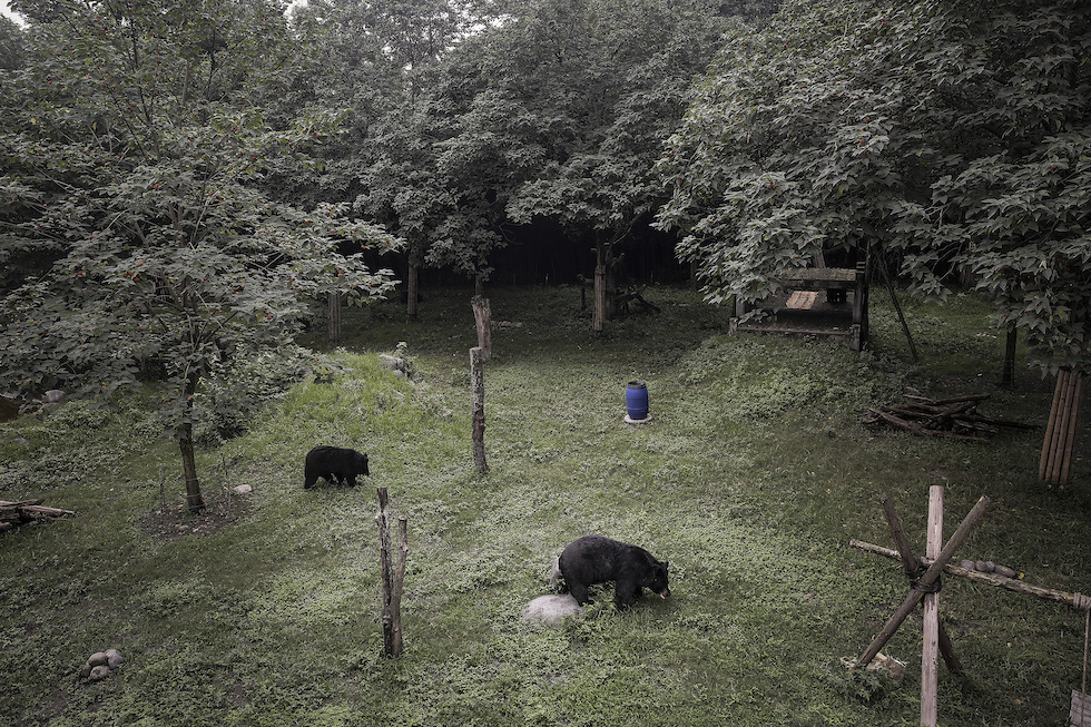 Chengdu, Cina