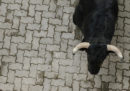 Un uomo è morto mentre partecipava alla corsa dei tori di Cuéllar, in Spagna