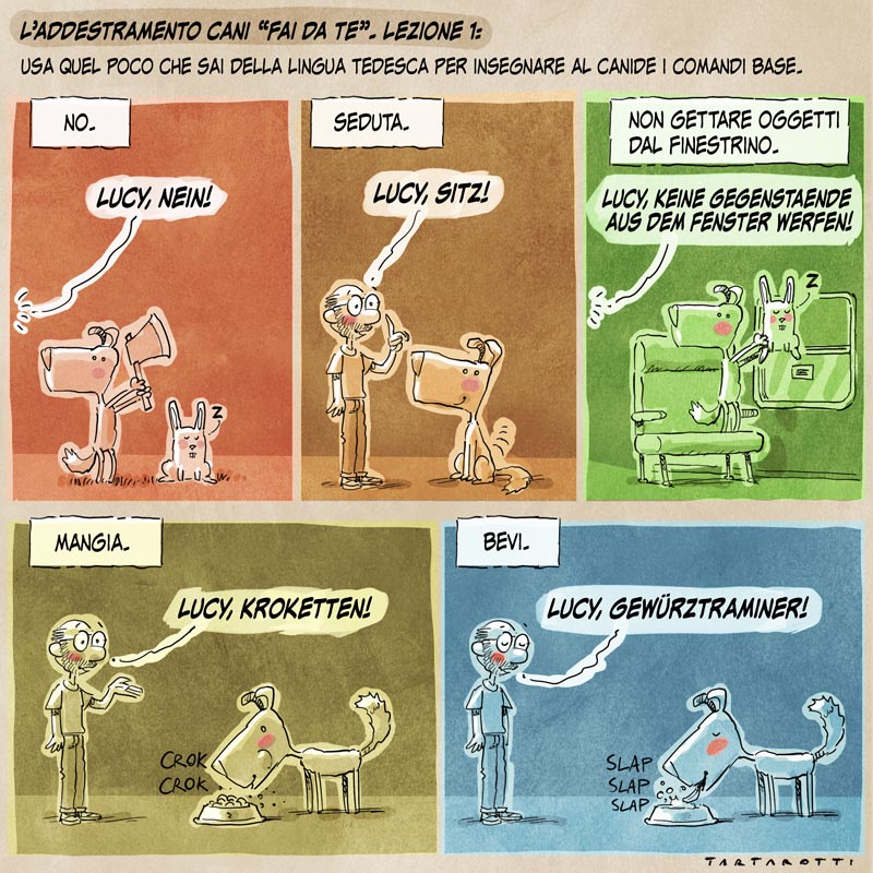 Addestramento cani “fai da te”