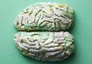 Cuore, cervello e polmoni fatti di mappe