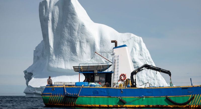 Il capitano Edward Kean sulla sua barca a Bonavista Bay, Terranova, Canada, 29 giugno
(Johannes EISELE/AFP/LaPresse)
