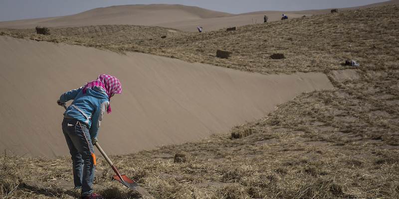 Una donna cinese durante i lavori preparatori per piantare alberi nel deserto di Mingqin, nel nord della Cina, il 28 marzo 2019 (Wang HE/Getty Images)