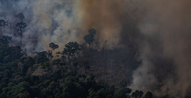  Un incendio a Porto Velho, Brasile (Victor Moriyama/Getty Images)
