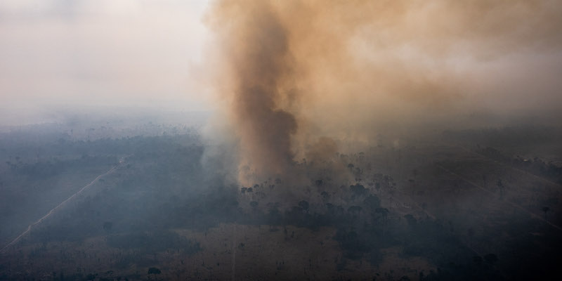 Un incendio nella foresta vicino a Porto Velho, in Brasile, nello stato di Rondônia, il 25 agosto 2019 (Victor Moriyama/Getty Images)