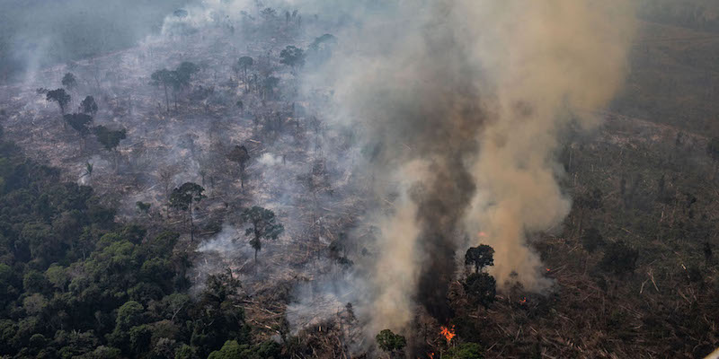 Un incendio vicino a Porto Velho, nello stato di Rondonia, il 25 agosto 2019 (Victor Moriyama/Getty Images)