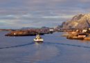 La Norvegia ha un problema di traffico illegale di pesce