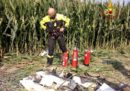 Un aereo ultraleggero è precipitato nella provincia di Venezia causando la morte di una persona
