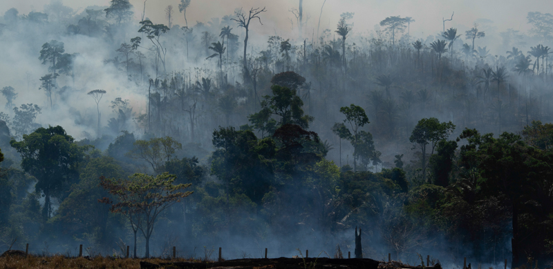 (AP Photo/Leo Correa)