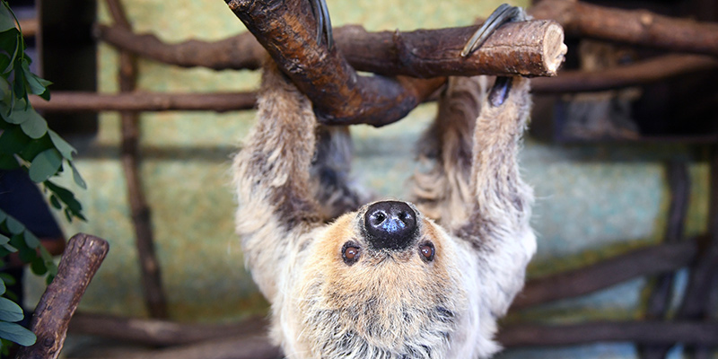 (Hendrik Schmidt/picture-alliance/dpa/AP Images)