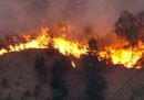 Nell'Australia orientale ci sono decine di incendi boschivi fuori controllo