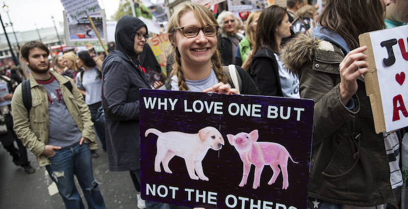 Una ragazzina a una manifestazione di animalisti a Londra 
(Jack Taylor/Getty Images)