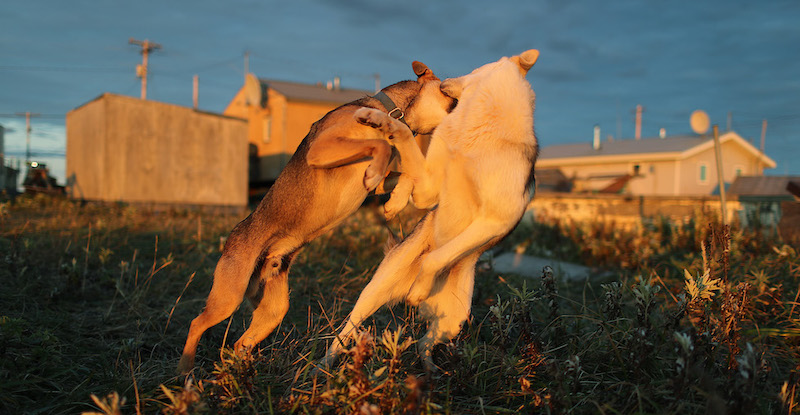 (Joe Raedle/Getty Images)