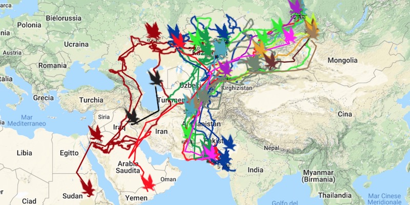 Le migrazioni delle aquile delle steppe seguite dal RRRCN; il percorso di Min è quello indicato con il rosso più acceso (RRRCN)