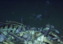 Cose che si trovano sul fondale dell'oceano: un banchetto intorno allo scheletro di una balena