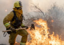 In California è stato dichiarato lo stato di emergenza per i grossi incendi