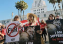 In California non si potranno più produrre e vendere pellicce a partire dal 2023