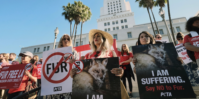 Una protesta animalista di PETA contro le pellicce del 18 settembre 2018, davanti al comune di Los Angeles, in California (AP Photo/Richard Vogel, File)