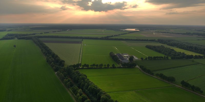 La campagna della Drenthe, una delle province dei Paesi Bassi (Klaus Rose/picture-alliance/dpa/AP Images)
