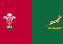Galles-Sudafrica, semifinale di Coppa del Mondo di rugby, in diretta TV
