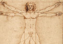 Il TAR del Veneto ha permesso il prestito dell'Uomo Vitruviano di Leonardo al Louvre