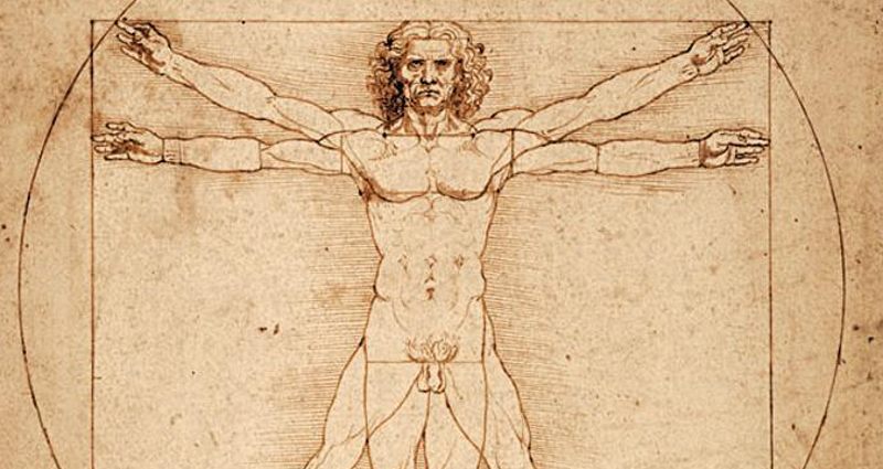 Il TAR del Veneto ha permesso il prestito dell'Uomo Vitruviano di Leonardo al Louvre