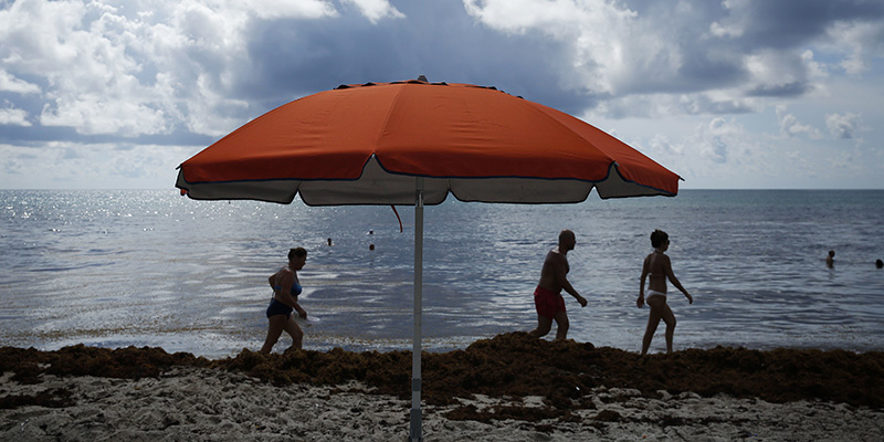 Cosa ci fanno così tanti russi in Florida