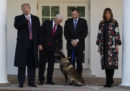 Trump ha premiato il cane ferito nell’operazione contro Baghdadi