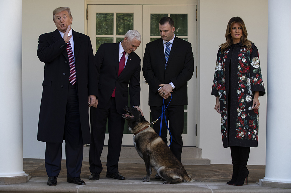 Donald Trump, Mike Pence e Melania Trump con Conan, il cane dell'esercito che ha partecipato all'operazione contro Abu Bakr al-Baghdadi, Casa Bianca, 25 novembre 2019 (AP Photo/ Evan Vucci)