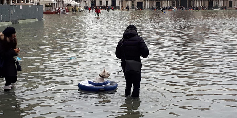 Un uomo passeggia con il cane su un salvagente a Venezia, 13 novembre 2019 (ANSA)