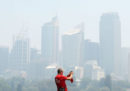 Le foto di Sydney tra il fumo