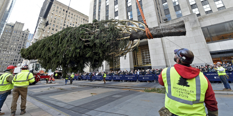 Albero Di Natale Vero Vendita Online.E Meglio Comprare Un Albero Di Natale Vero O Uno Finto Il Post