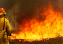 Almeno tre persone sono morte per gli incendi nel Nuovo Galles del Sud, in Australia