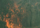 Le persone morte a causa degli incendi in Australia sono 4