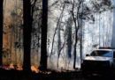Nel Nuovo Galles del Sud, in Australia, c'è un numero di incendi «senza precedenti»