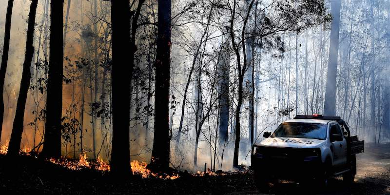 Un incendio boschivo nel Nuovo Galles del Sud, il 2 novembre 2019 (La Presse / SAEED KHAN / AFP)
