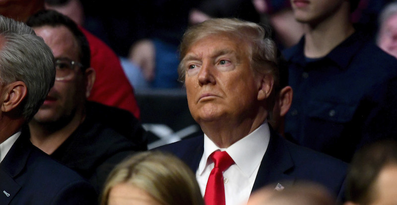 Donald Trump (Steven Ryan/Getty Images)