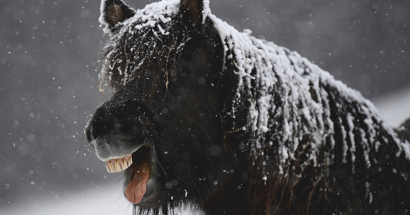 (Patrick Seeger/picture-alliance/dpa/AP Images)