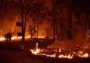 Da lunedì sette persone sono morte per gli incendi in Australia
