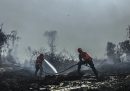 Gli incendi di quest'anno in Indonesia hanno provocato danni per 5,2 miliardi di dollari, secondo un rapporto della Banca Mondiale