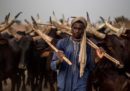 Il reportage di Marco Longari tra i pastori del Niger